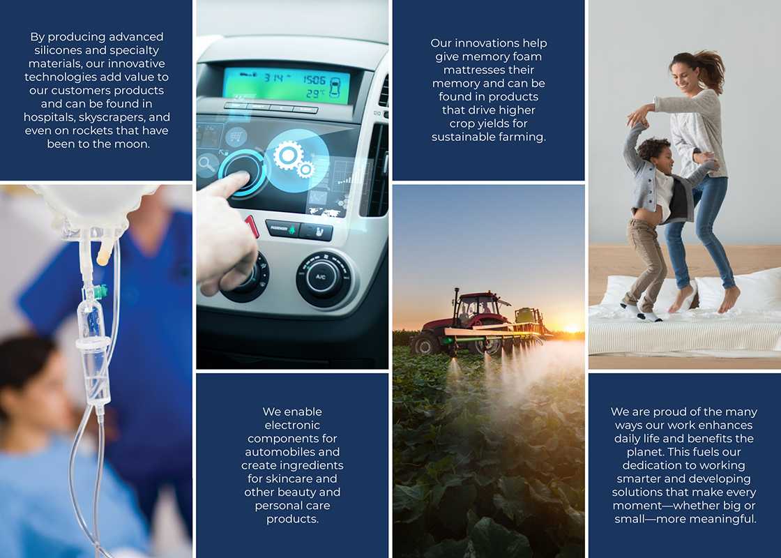 Momentive content graphic for Health, Auto, Agriculture and Bedding