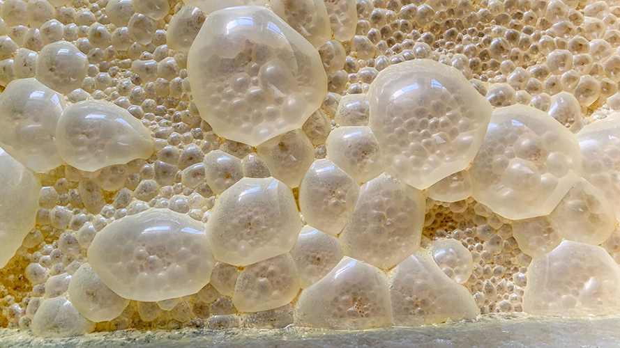 Momentive provides solution to remove foam in fermentation processes