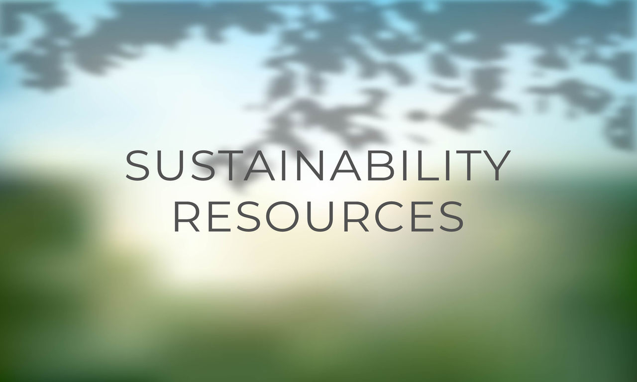 Blurred Nature backgroung to represent Momentive's Sustainability Resources