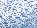 antifoams (Small Bubbles) - thumbnail (1)