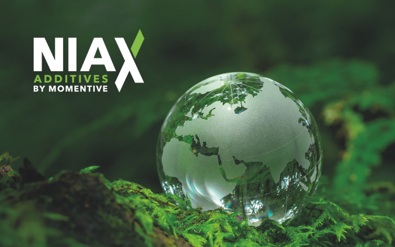 玻璃地球置于绿色蕨类植物上，象征 Niax 的环保聚氨酯解决方案与可持续创新。
